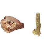 Chewies Kauwurzel für Hunde - Kauspielzeug aus Baumheide Wurzel - Größe L & Kaustab für Hunde - Kauknochen aus Kaffeeholz - splitterfrei und langlebig - Größe L: Für Hunde ab 20 kg Körpergew
