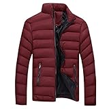 Steppjacke Herren Einfarbig Daunenjacke mit Kapuze Übergangsjacke Sportjacke Freizeitjacke Materialmix Kapuze Reißverschluss Street Style Quilted Jack