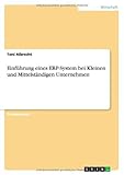 Einführung eines ERP-System bei Kleinen und Mittelständigen U