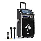 auna DisGo Box 100 DVD Mobile PA Soundanlage - Bluetooth Lautsprecher mit 300 Watt Leistung, PA Anlage mit 9' TFT-Display, DVD, verlängerter Trolley-Griff, 2 x UHF-Funkmikrofon, schw