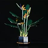 SWDZ LED Lichter Set für Lego Paradiesvogel Blume, Bausteine Beleuchtungsset Kompatibel mit Lego 10289 (Nicht im Lieferumfang des Modells enthalten)