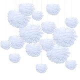 Himeland Hochzeitsfeier Dekorationen 16PCS Weiß Seidenpapier Pom Poms für Hochzeit, Geburtstag, Babyparty Brautdusche, Engagement Abschlussfeier, Kommunion, Weihnachten Pompons Dek