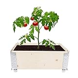 Palettenrahmen Holz Paletten Hochbeet Faltbares Pflanzkasten Garten Bett Holzpflanzgefäß für Pflanzenblumengemüse (S 40x60x19cm)