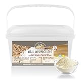 Vital Weizengluten 5 kg natürliches Verdickungsmittel rein pflanzlich | Weizeneiweiß | Seitan | kalorienarme Speisestärke | Backen und Kochen | G