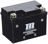 Batterie Motoforce, 12V 5Ah, wartungsfrei, zzgl. 7,50 EUR