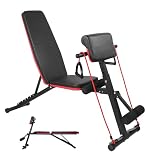 HOLDLAMP Hantelbank, Verstellbar Klappbar Schrägbank Trainingsbank Bauchtrainer Multifunktion Negativbank Rückentrainer mit Beincurler für Zuhause, Fitnessstudio, Workout, Hantelbänke, Fitness-S