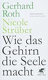 Wie das Gehirn die S