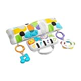 Fisher-Price GJD27 - Musik Spielkissen, stützendes Kissen zum Spielen in der Bauchlage mit Musik, Lichtern und Tiergeräuschen,Babyspielzeug für Neugeborene ab der Geb