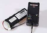 Rollladensteuerung Set bestehend aus einem Ladegerät für Rollladensteuerung und einem Ersatz-Akku NiMH Varta AA 12 V / 2600mAh - Geeignet für Rollladen, ROTO ZEL 12V/2,1 Ah WDT-S RT2 SF G2/G3/G4