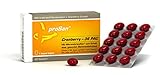 proSan® Cranberry-36 PAC (30 Kapseln) - 3x stark: 36 mg Cranberry-PAC + Mikronährstoffe für eine gesunde Blasenschleimhaut + ein starkes Immunsystem - nur 1 Kapsel täglich - Qualität aus D