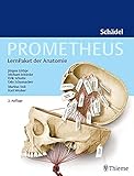 PROMETHEUS LernPaket Anatomie S