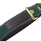 DOG DUDES Hundehalsband - Premium Halsung aus feinster Leichter Lederkombination in olivgrün/schwarz mit hochwertigen Verschluss-Elementen (M (37cm-45cm))