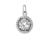 NKlaus Silber 925er Sterlingsilber Ketten Anhänger Horoskop Sternzeichen Fische 6328