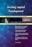 working capital Development All-Inclusive Self-Assessment - More than 700 Success Criteria, Instant Visual Insights, Comprehensive Spreadsheet Dashboard, Auto-Prioritized for Quick R