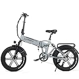 DDCHH Klapp-Elektrofahrräder für Erwachsene, 20' 500W Brushless Motor Aluminiumlegierung Leicht Tragbare Elektrofahrrad, 48V 10AH Batterie Elektrofahrrad Snowy Beach Mountain Ebike,S