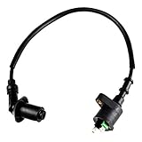 Zündspule mit Kerzenstecker Rex RS 450 50 4T Baotian Jinlun Benzhou Rex R