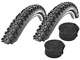 Set: 2 x Schwalbe Black Jack Reifen 20x1.90/47-406 + SCHLÄUCHE