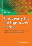 Abwasserrecycling und Regenwassernutzung: Wertstoff- und Energierückgewinnung in der betrieblichen Wasserw