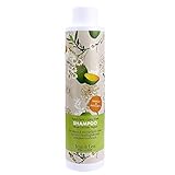 Jean & Len Philosophie Shampoo Nutri Care – Mango, Avocado, für langes & geschädigtes Haar, Feuchtigkeitspflege, reduziert Haarbruch, 300 ml, 1 Stück