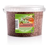 UGF - Premium Gammarus Bachflohkrebse Getrocknet, 3 Liter Eimer, Schildkrötenfutter, Fischfutter Aquarium, Axolotl Futter, Hamsterfutter, Igelfutter, Koi Futter, R