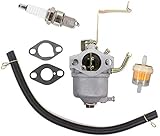 fenglei okuya Vergaser Vergaser Kraftstofffilter Zündkerze für Matrix D-PG1000 Scheppach SG950 Einhell PT-BG 850 Stromerzeuger Motor E
