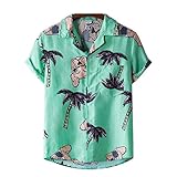 WZXHNYYZYQ FrüHlings- Und Sommer-Herren-Kurzarm-Blumenhemd-Serie Strandstil Anzugkragen Kurzarm-Druck