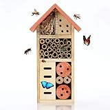 Buddy Wild Insektenhotel - 13x8,5x26 cm Umweltfreundliches Insektenhaus für Schmetterlinge Marienkäfer im Garten - Kinderfreundliches Witterungsbeständiges B