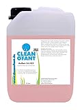 CLEANOFANT Außen-SAUBER 2,3 Liter - Spezieller Reiniger für Wohnwagen, Wohnmobil, Caravan, Vorzelt - das Moderne Shampoo vereint Außenreiniger, Insektenentferner, Felgenreiniger, Motorraumreinig