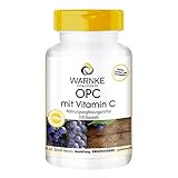 OPC Kapseln - aus Traubenschalen-Extrakt - OPC mit Vitamin C - vegan - 100 Kap