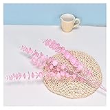 XIAOZSM Trockenblumen 5 Gabel Weichgummi Eukalyptus Geld Blatt Hochzeit Hochzeit Hall Dekoration Blumenarrangement Kunststoff Künstliche Blume DIY Künstliche Blumen (Color : Pink)
