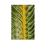 VOUERD Kein Rahmen 60X90cm Leinwand Wandkunst Malerei lvcha Vibrant Coconut Palm T