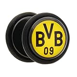 BVB-Fakeplug