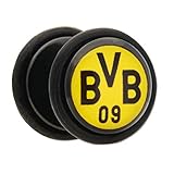 BVB-Fakeplug