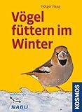 Vögel füttern im W