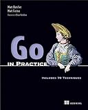 Go in Practice: Includes 70 Techniques (English Edition)