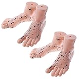 QTWW 4pcs Human Message Feet Modell Reflexzonenmassage Akupunk