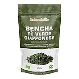 Japanischer Grüner Tee Sencha Bio - Upper grade - 100g. 100% natürlicher, reiner grüner Tee lose in Blättern der ersten Ernte, die in Japan angebaut werden. Pure Organic Japanese Sencha Green T