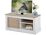 ZeoTioo Fehrnseherschrank Tv Schrank Tisch Fernsehschrank Holz TV-Bank Lowboard Fernsehtisch Fernsehschrank 1 Tür Kiefer mit Rattan weiß grau Fernseher Unterschrank Tv Board Fernseher Reg