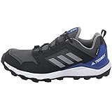 adidas Herren Terrex Agravic Tr GTX Traillaufschuhe, Mehrfarbig Grpudg Gritre Azurea, 44 EU