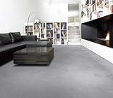 PVC Bodenbelag Vinylboden in verwaschenem Beton (9,95€/m²), Zuschnitt (2m breit, 2,5m lang)