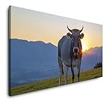 Paul Sinus Art Kuh im Allgäu 120x 60cm Panorama Leinwand Bild XXL Format Wandbilder Wohnzimmer Wohnung Deko Kunstdruck