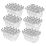 Rotho Freeze 6er-Set Gefrierboxen 0,25l mit Deckel, Kunststoff (PP) BPA-frei, transparent, 6 x 0,25l (11,2 x 7,8 x 13,2 cm)