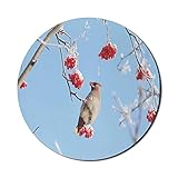 Vogel-Maus-Pad für Computer, Seidenschwanz-Essen Gefrorene Ebereschen-Beeren Klarer blauer Himmel Blick kaltes Winterwetter, rundes rutschfestes dickes Gummi Modern Gaming Mousepad, 8 'rund, hellb