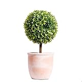 Lazzzgua Künstliche Topfblume, Mini Fake Kunststoffsaison Baum Pflanze Mit Topf Für Home Decoration, Topfpflanzen Für Hochzeit Home Office Tisch Bonsai Dekor Grü