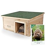 WILDLIFE FRIEND I Großes Igelhaus Winterfest inkl. E-Book von Biologen I mit Boden aus Holz I Ganzjähriges wetterfestes Igelfutterhaus für den Garten I Katzensicher, Igel W