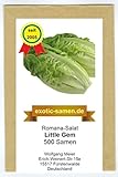 Romana-Salat - Little Gem (500 Samen)