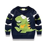 Little Hand Jungen Pullover Kinder Sweatshirt Dinosaur Jumper Sweater Baumwolle Langarm T Shirts, Dinosaur Pullover-dunkelblau, 110 / HerstellerGröße: 120