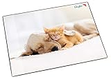 Läufer 46657 Schreibtischunterlage Hund und Katze, 53x40 cm, rutschfeste Schreibunterlage für Kinder, verschiedene Motive, mit transparenter S
