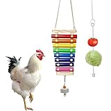 JanYoo 2Pcs Hühner Spielzeug, Xylophon Hühnerspielzeug mit 8 Metallschlüsseln und Schleifstein,Vogelspielzeug Hängen Huhn Gemüsehalter Lebensmittelhalter für Hühnchen,Vögel,Papag
