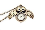 B/H für Doktor Krankenschwester Taschenuhr,Owlvintagepocketwatch, Flipquartzchestwatch-2,Medizinische Taschen Quarz U